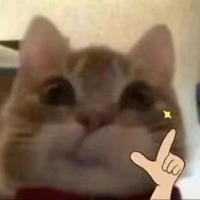 黎黎原上草༉