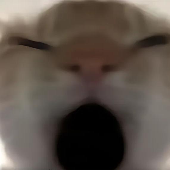 小壹