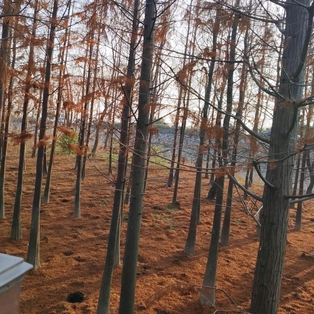 人间清醒