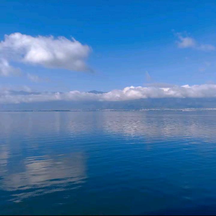 老李