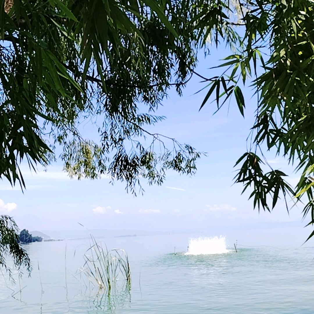 @难得糊涂（请勿连赞）