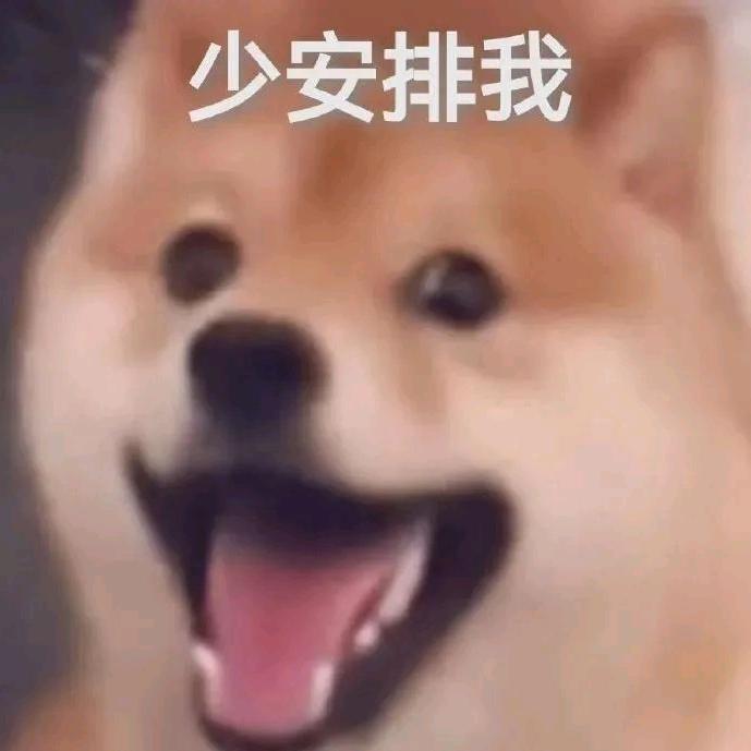 哼哼哈哈（2025版）