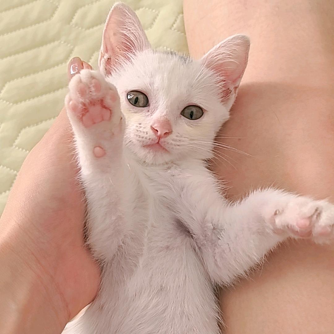 白白和米乐的妈妈