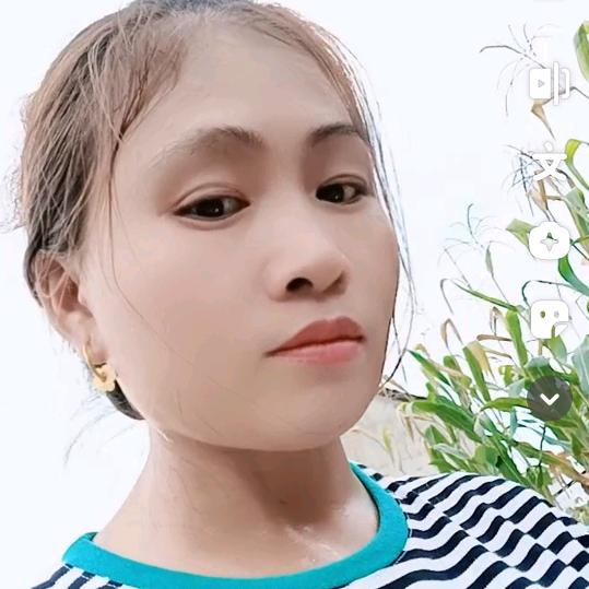 莲