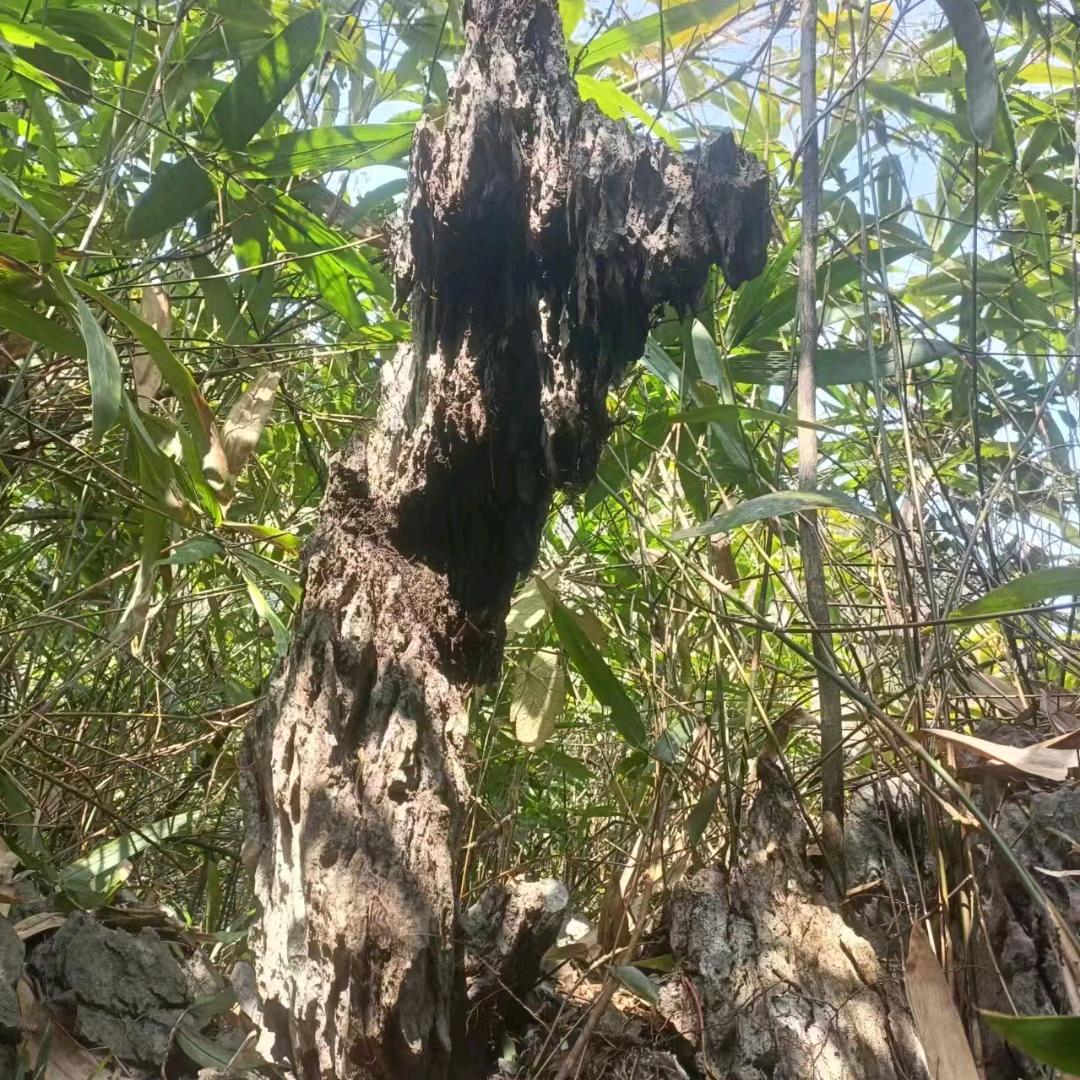 ε٩(๑ 财来₃运转 )۶з