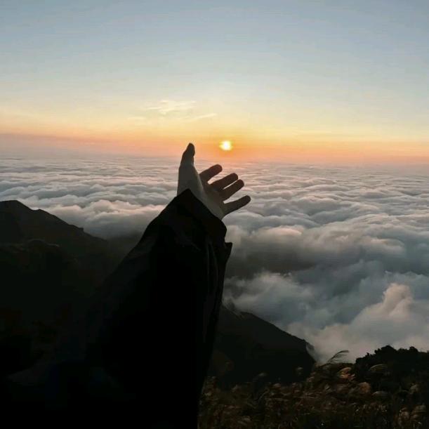 小张朱砂（买➕V）