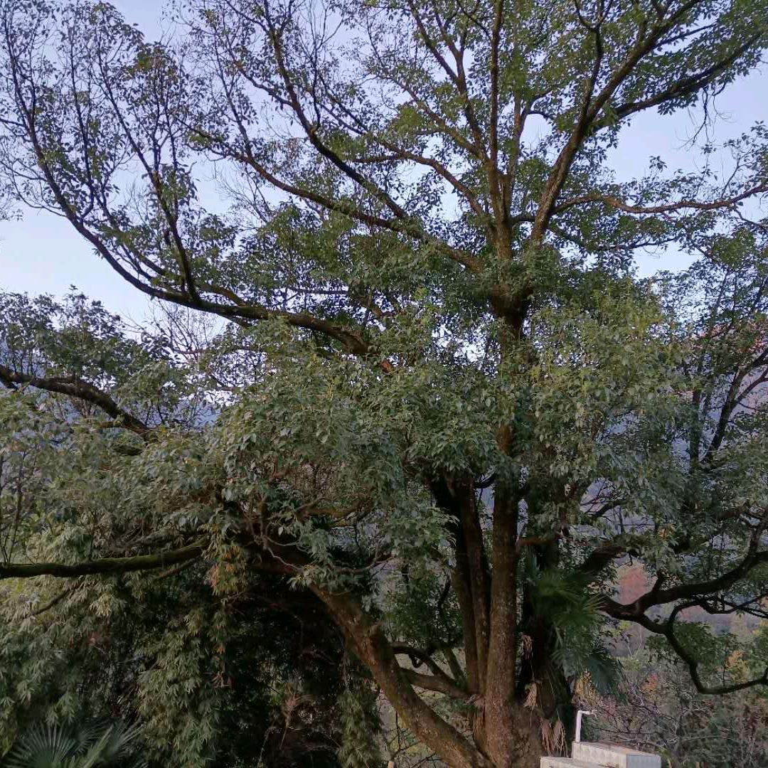 冷暖自知
