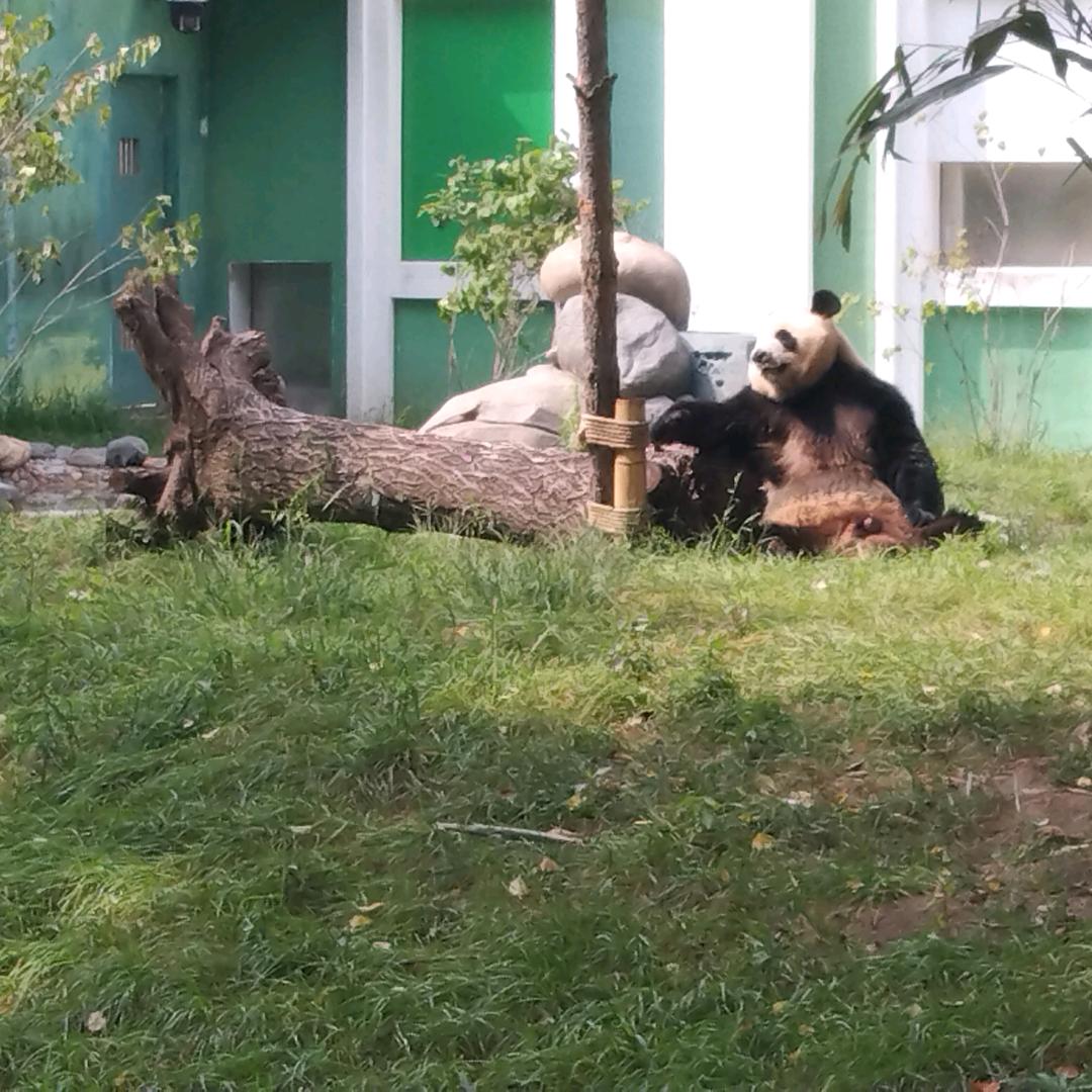 沐优