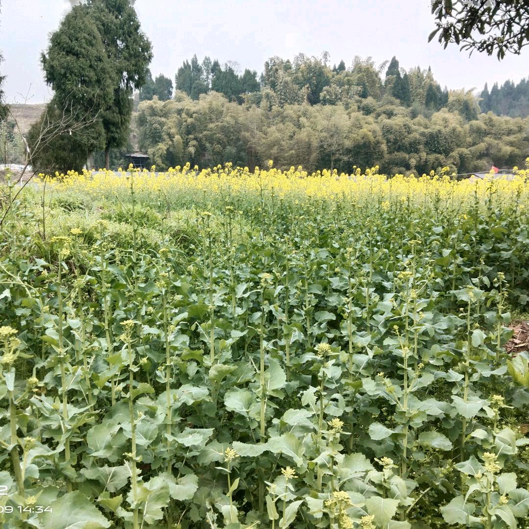 李哥好物