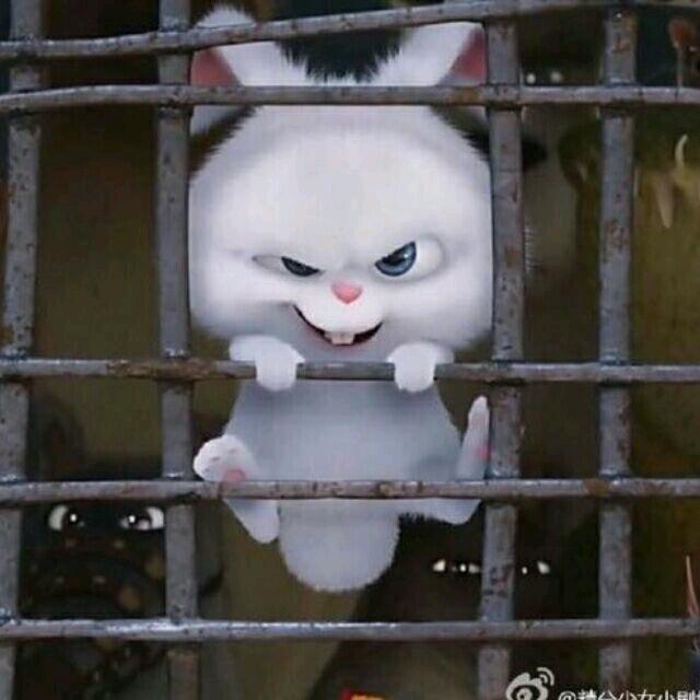 战颖之心💞(限流中)