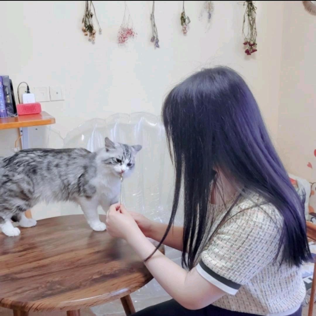 真心哦