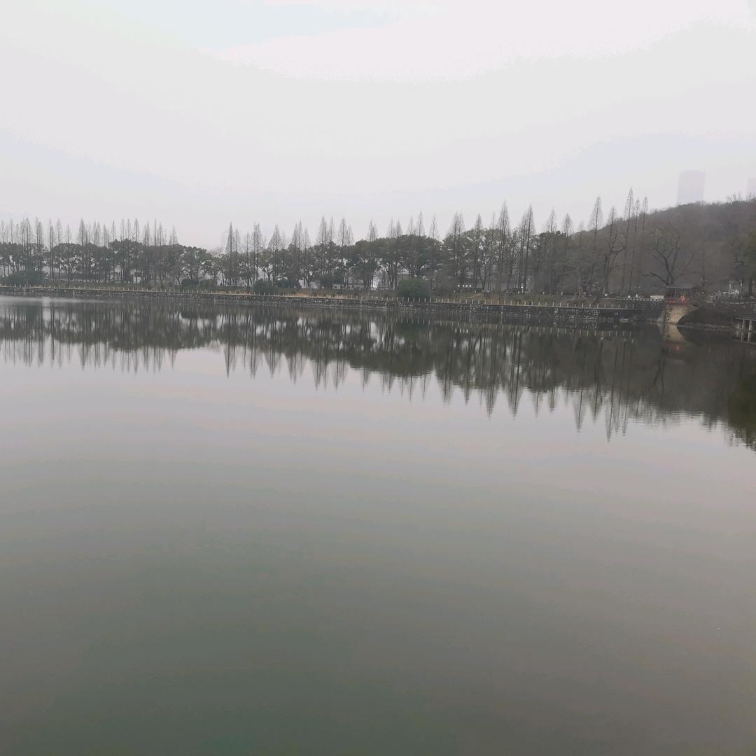 浪子回头