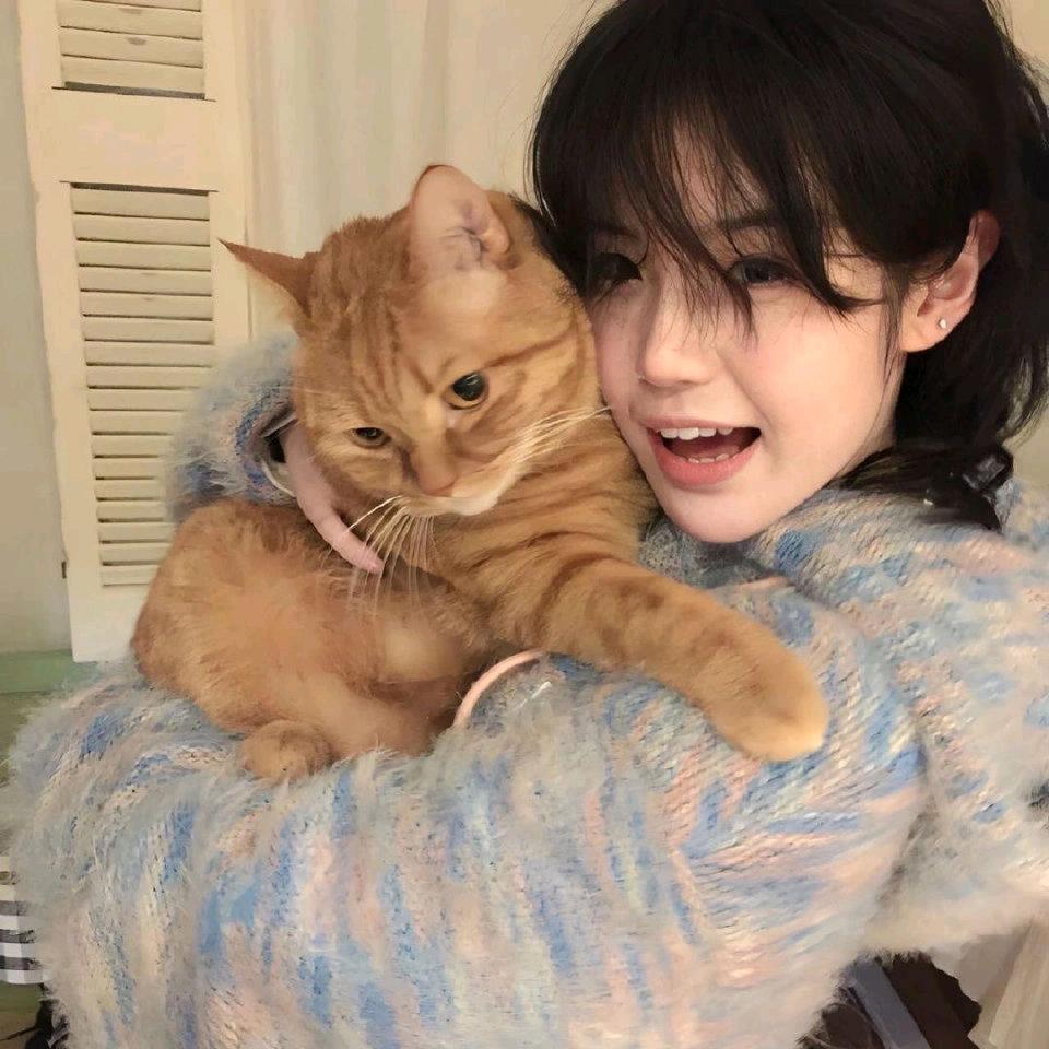 呆呆羊不画饼.🐏