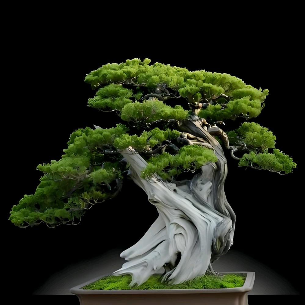 w枯木逢春，盆景素材