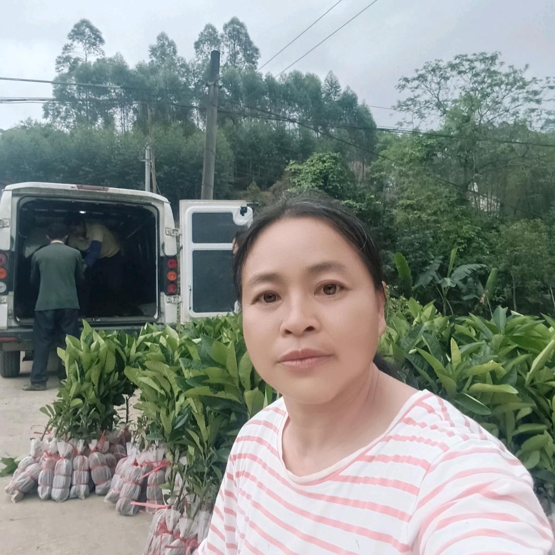 刘姐，广西容县自育果苗基地