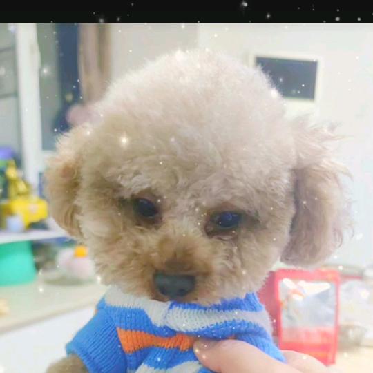 李兰