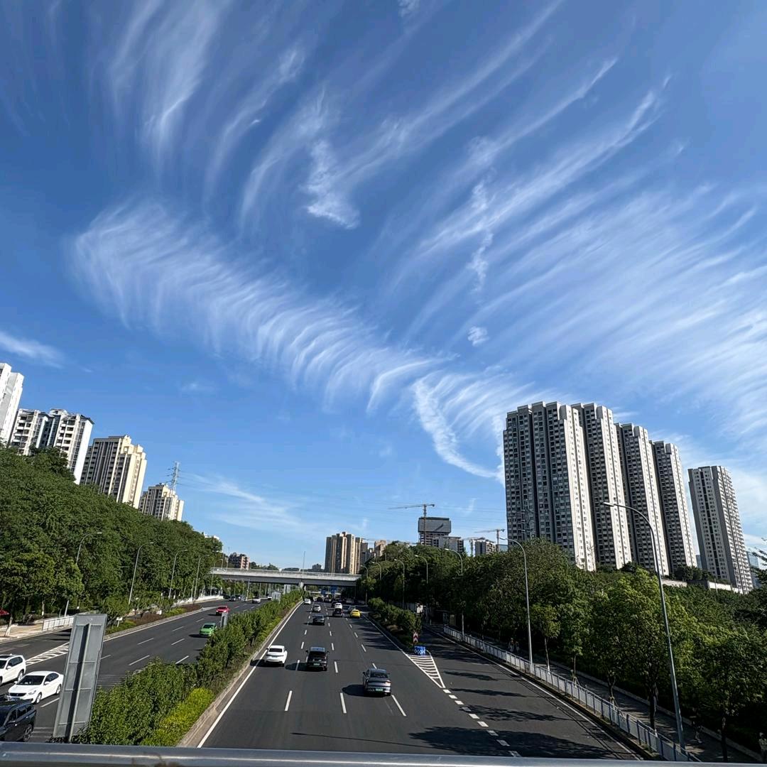 风扬帆