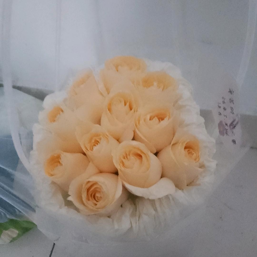 ▶   ıı|ıı||ı 17＂