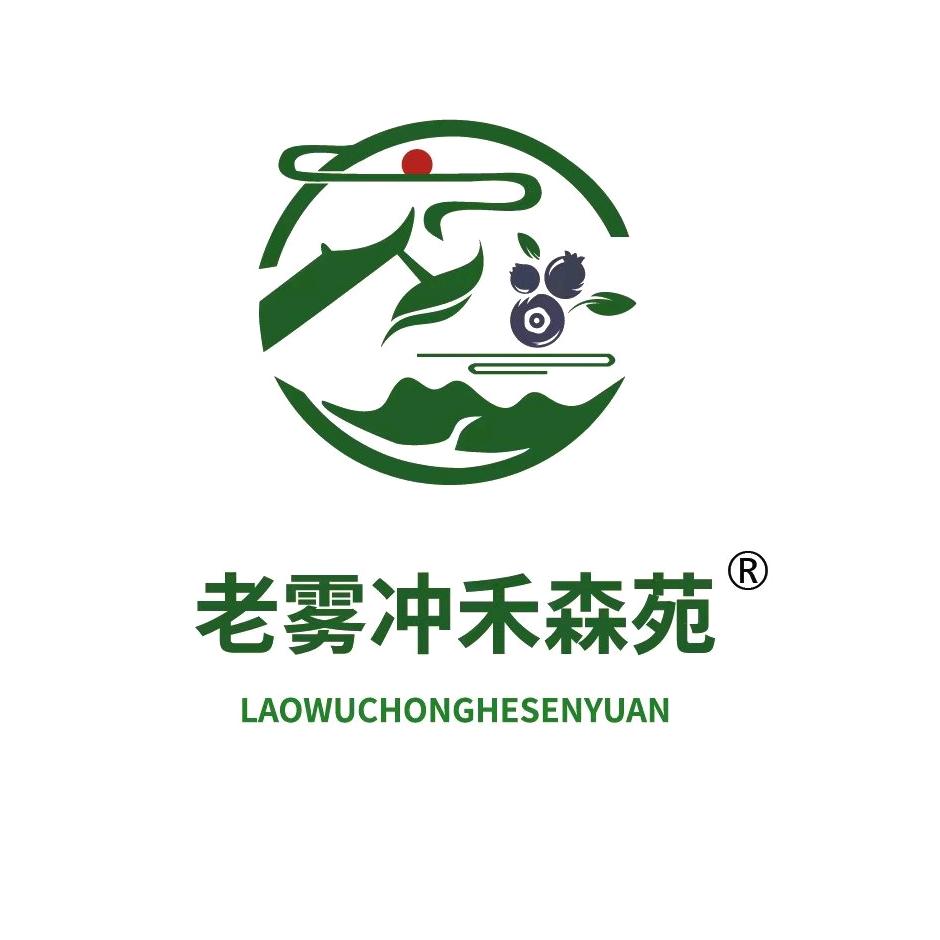 老雾冲鱼跃岭康养度假中心
