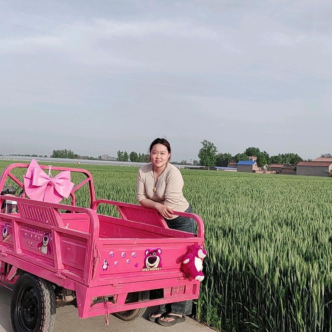 小郭在卖瓜呀🍉