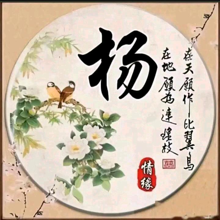 太杨🐉