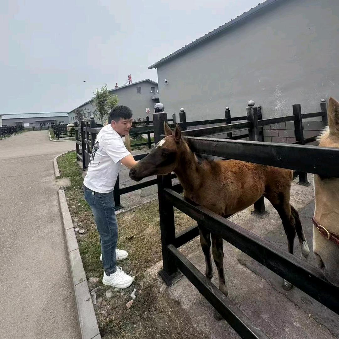 布布爱吃肉