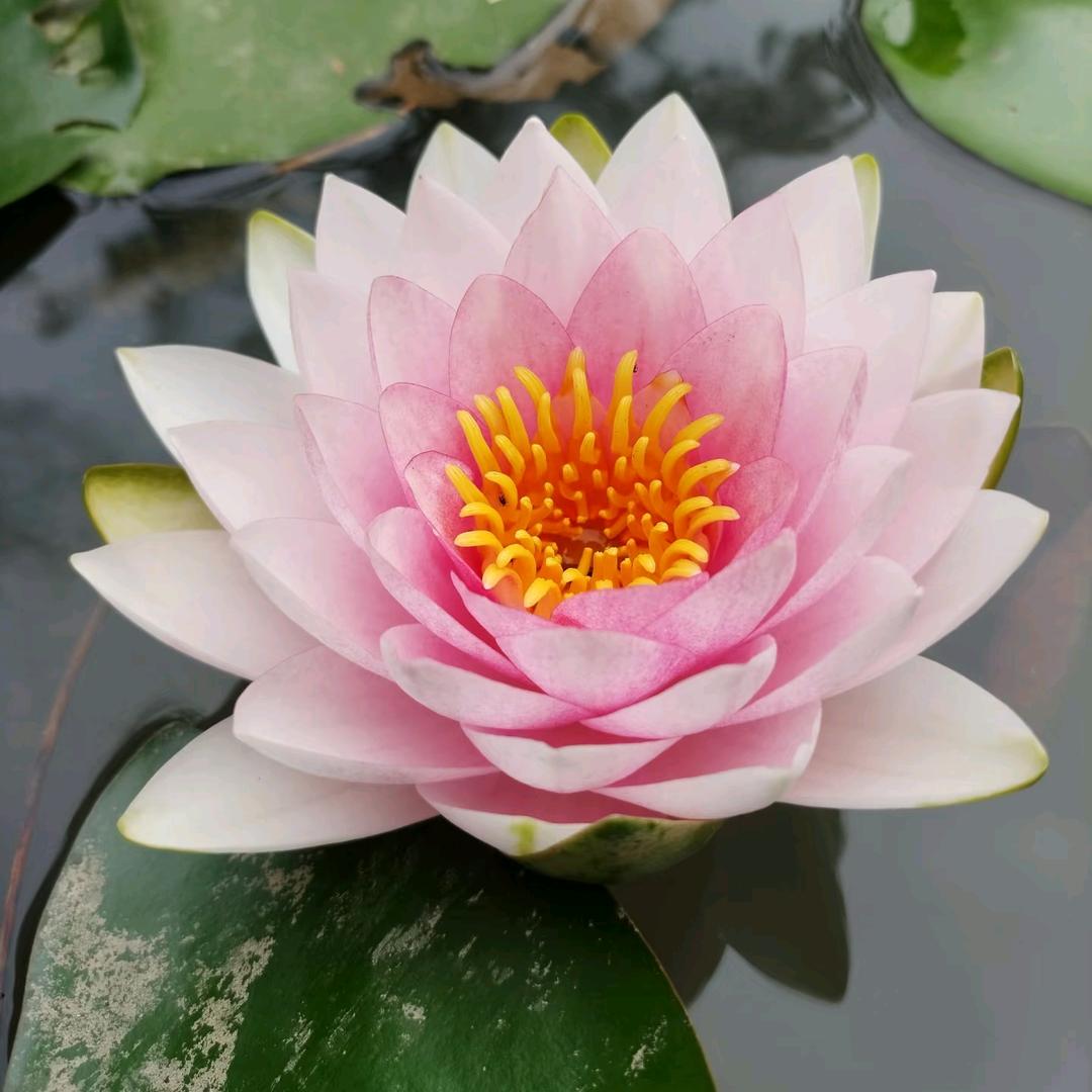 📷碧海清幽
