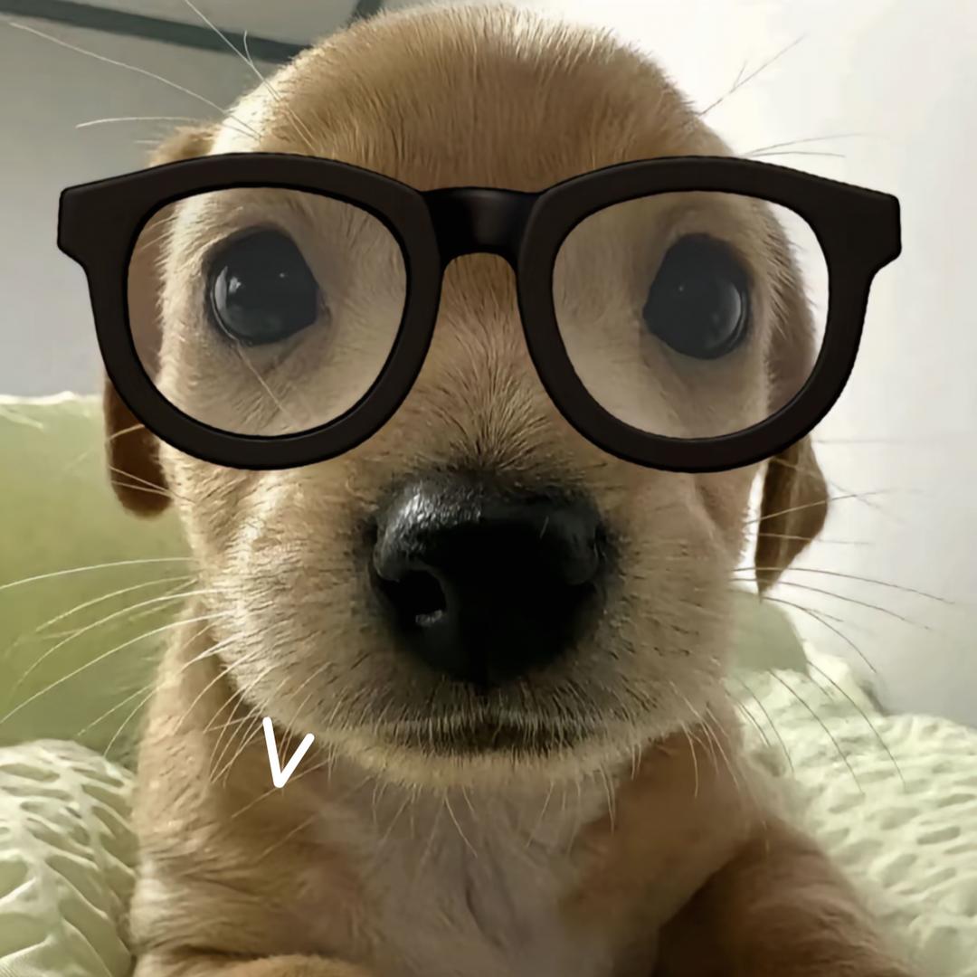 邪恶的猪脚饭29