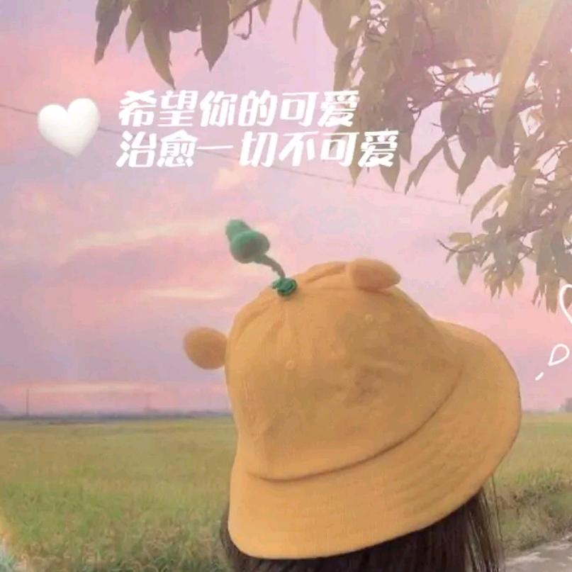 皮皮虾走起