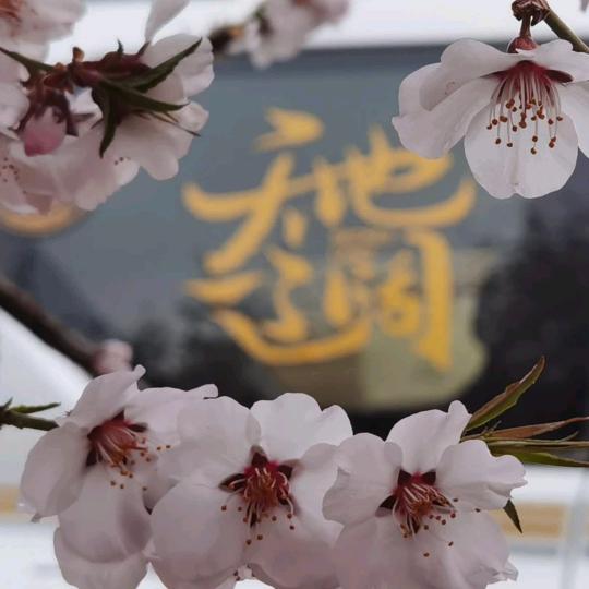 秦剑一直在路上