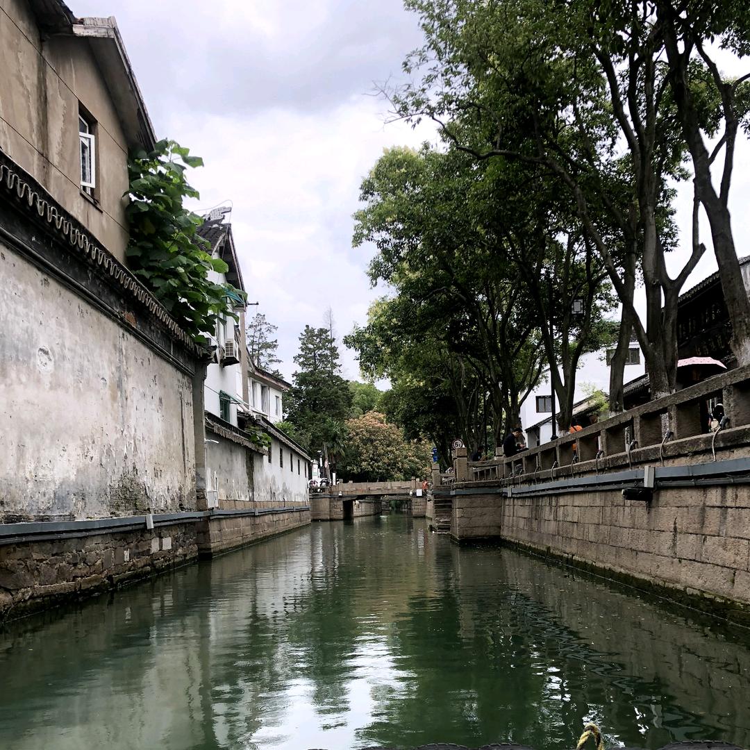 绿城煮酒