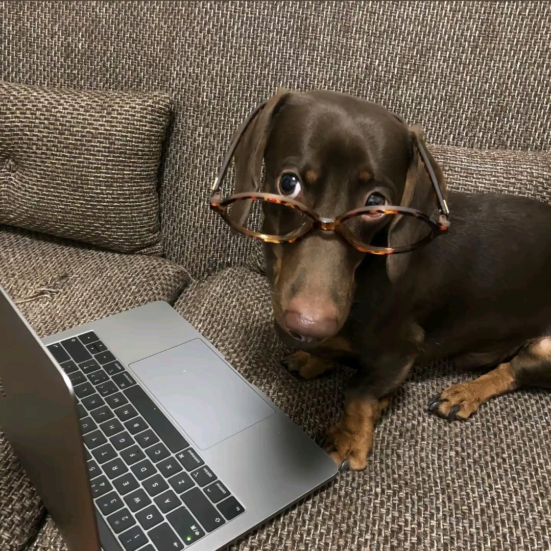 朝阳户外工厂店