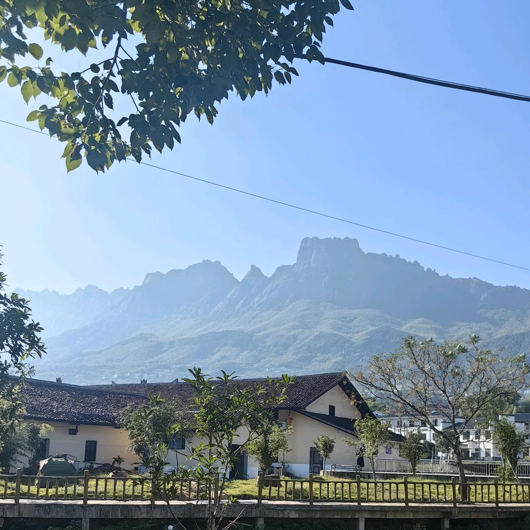 梦纯