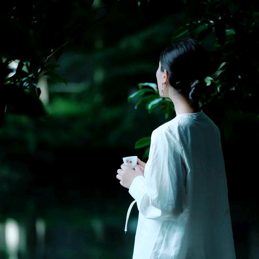 星辰梦语🌙