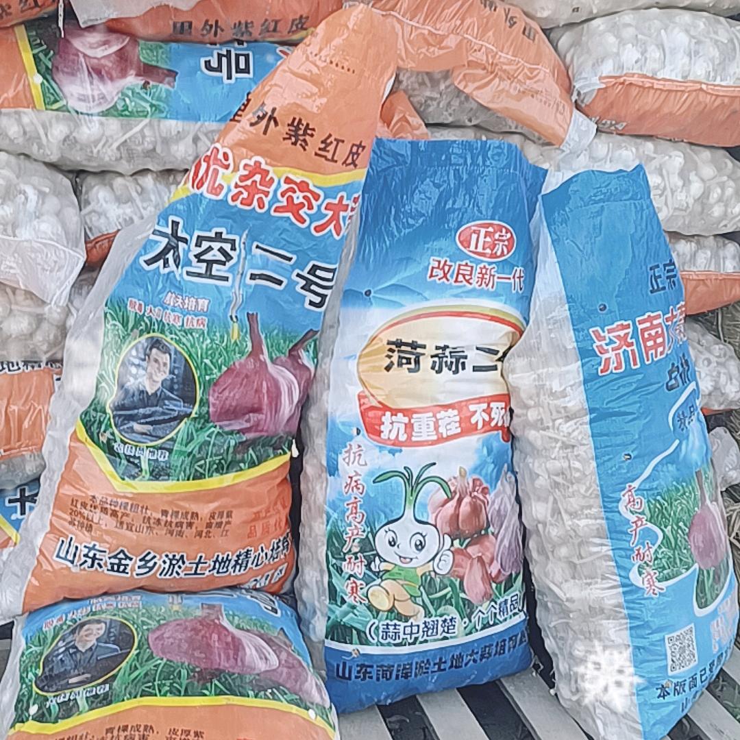 三农老陈蒜业