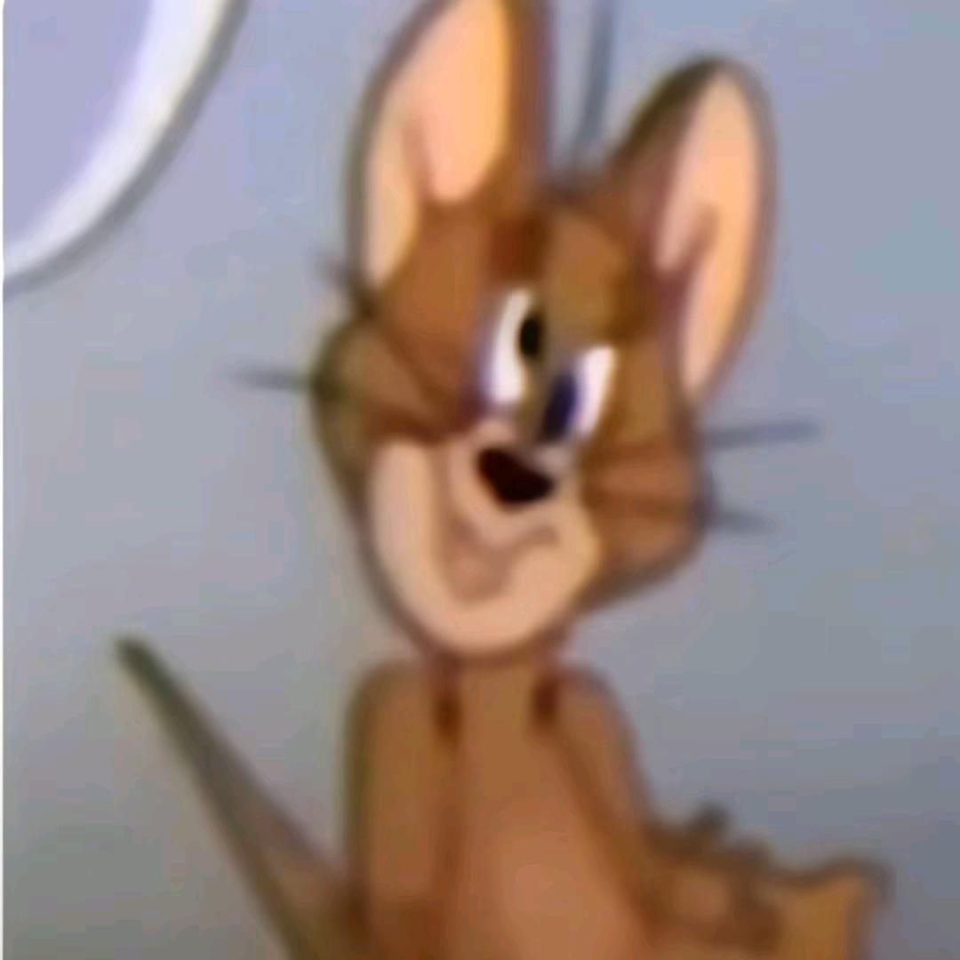 泪水打湿拼好饭