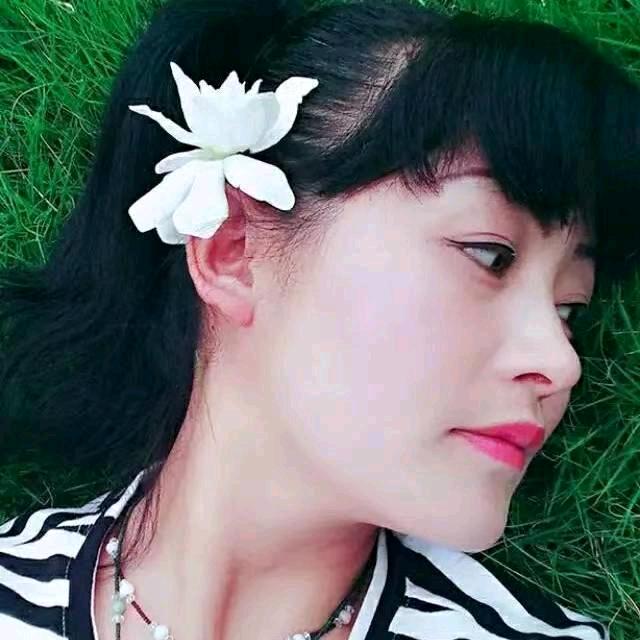 栀子花语(厨窗下单）