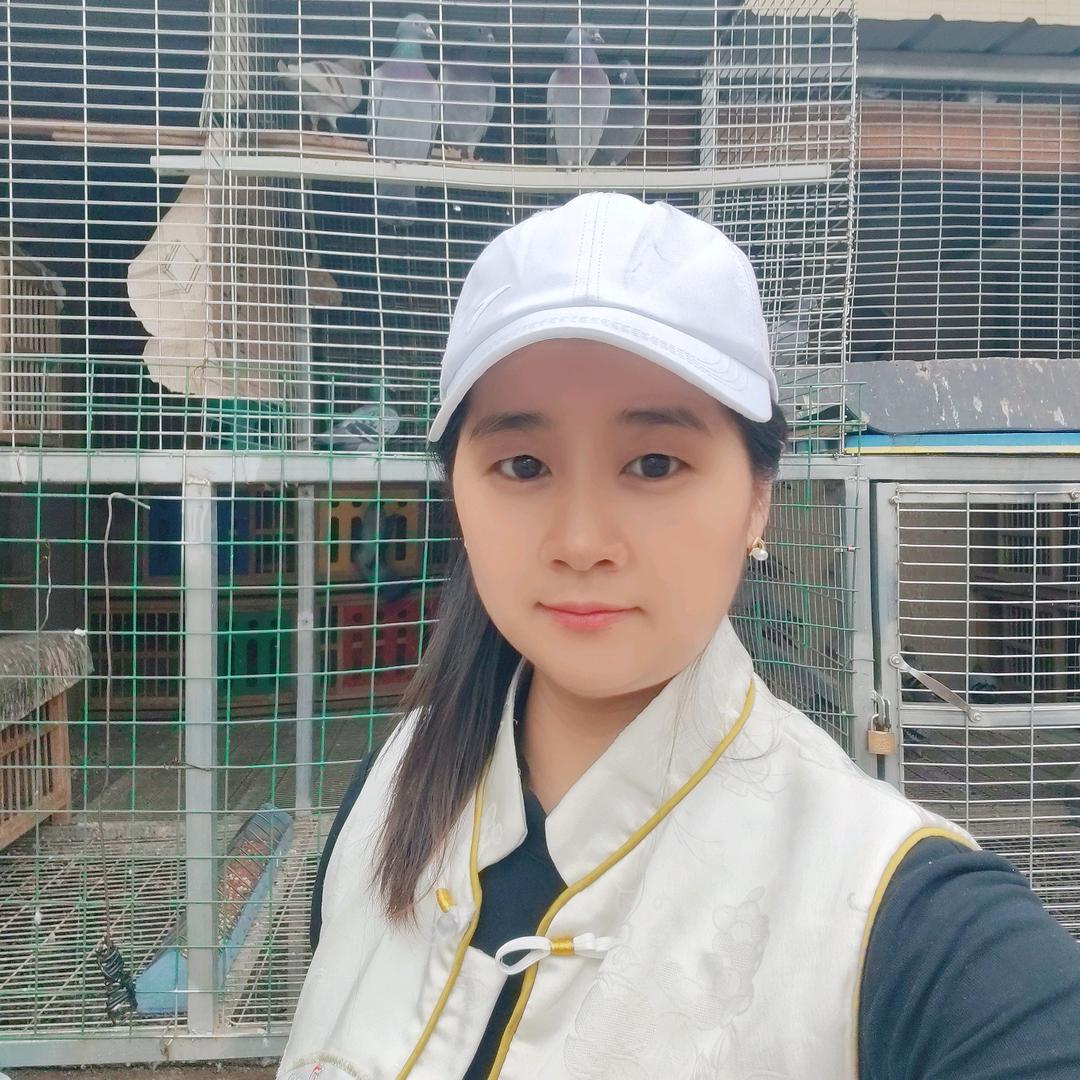 华夏养鸽人:唐华
