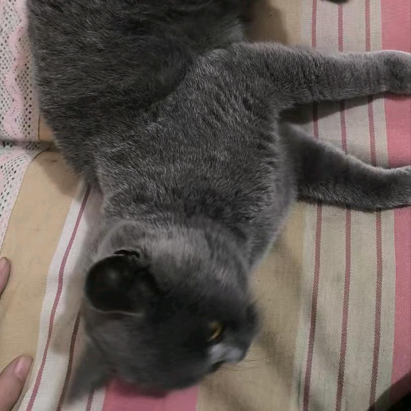 小姜🧡