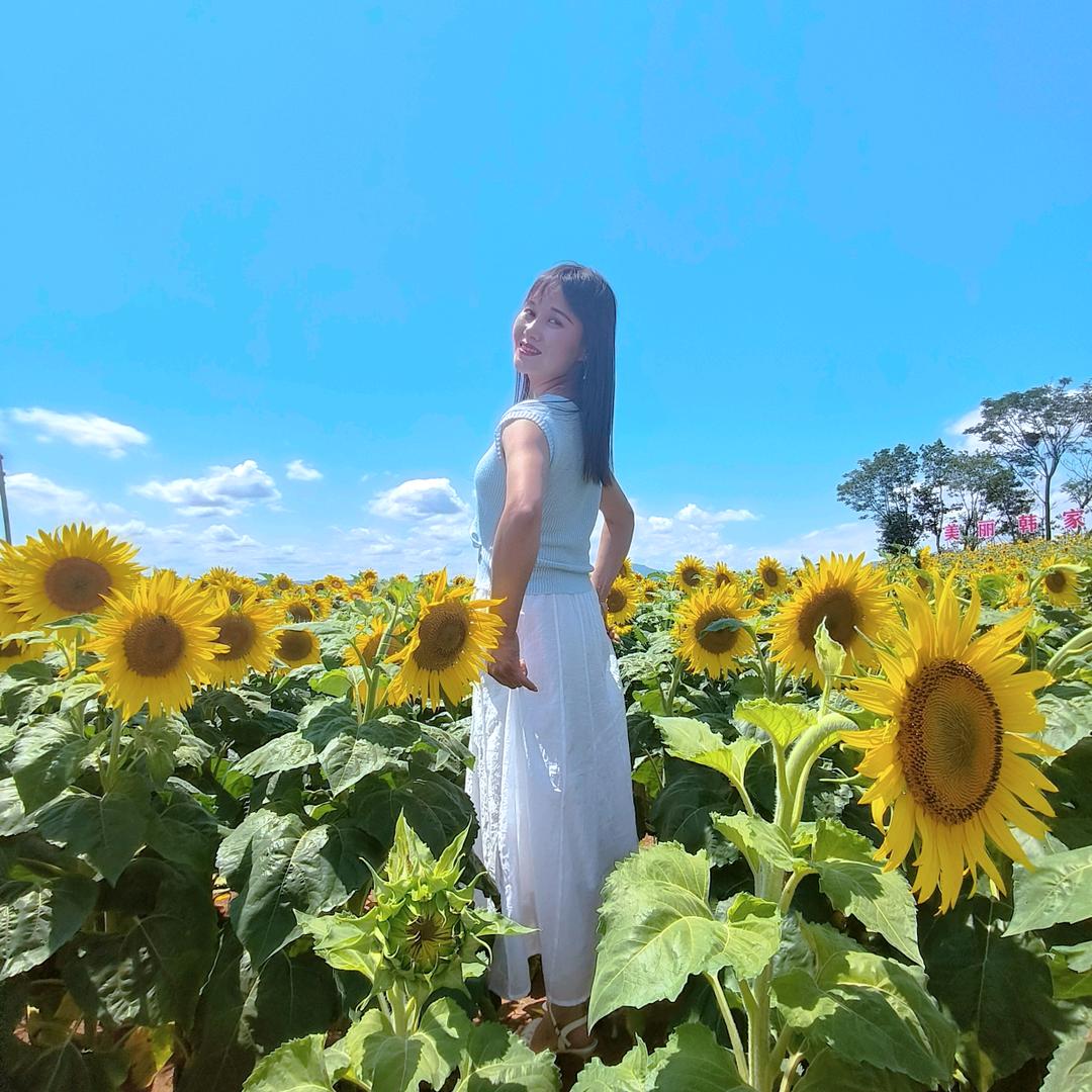 洋县安家房产马媚