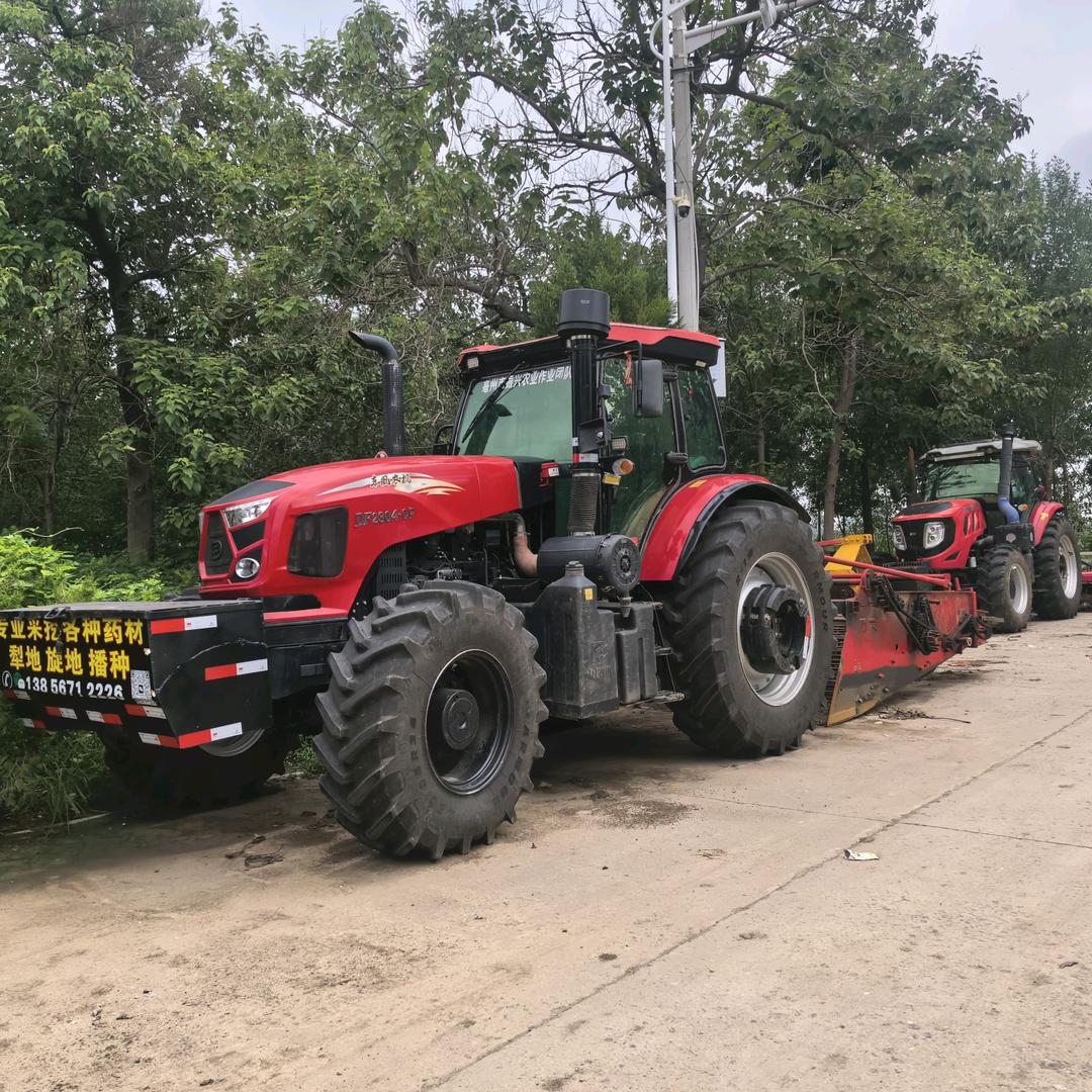 A-专业挖各种药材🚜