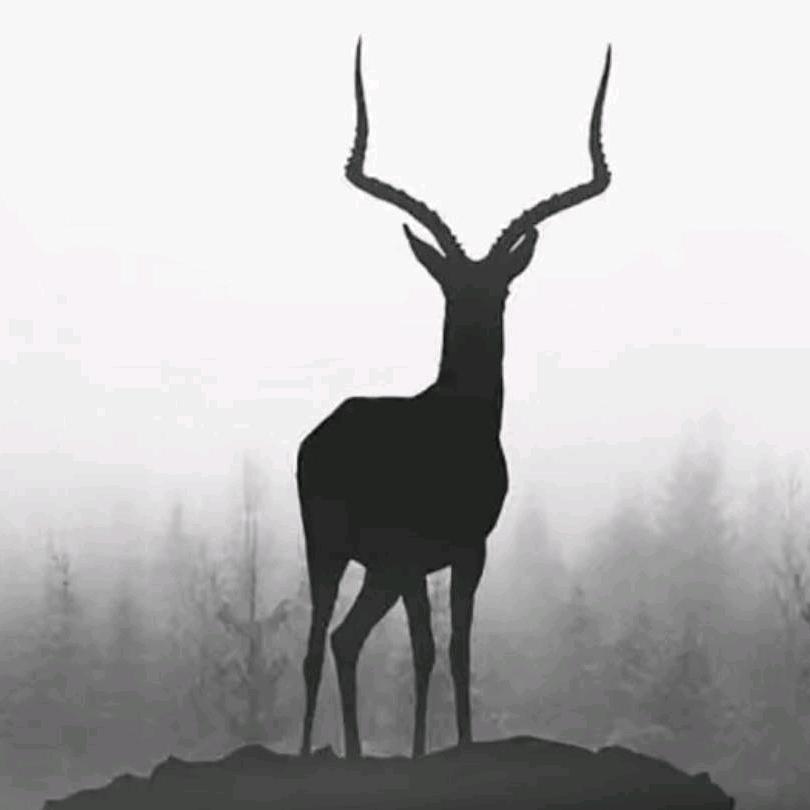 黎箫