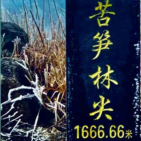 双排小卡拉米