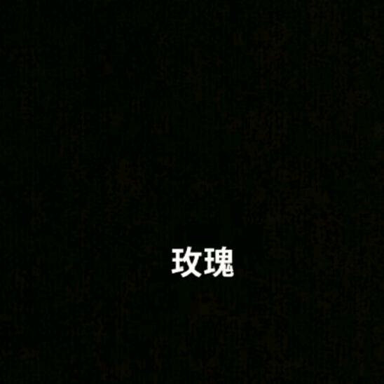 小涛