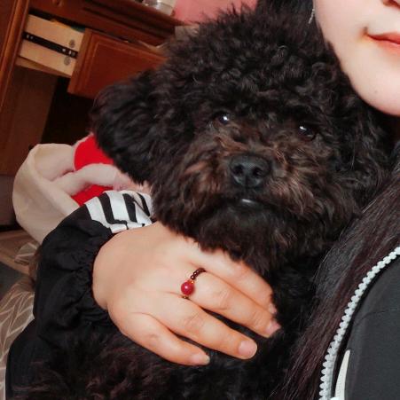 ☞兜☜来✔米^O^