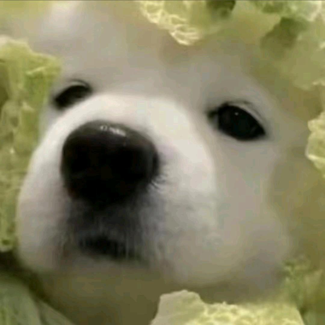 这个名字真的有十个字