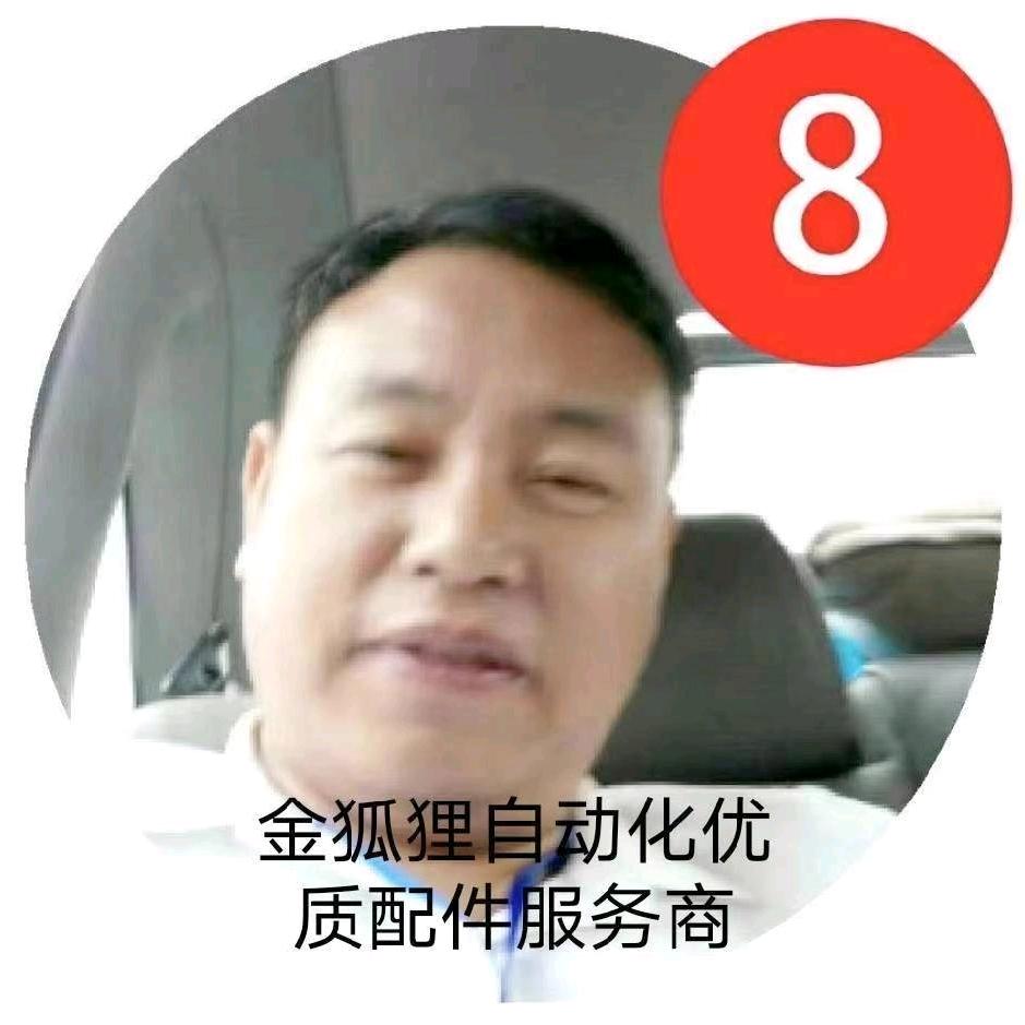 亚洲龙（金狐狸视觉自动化）