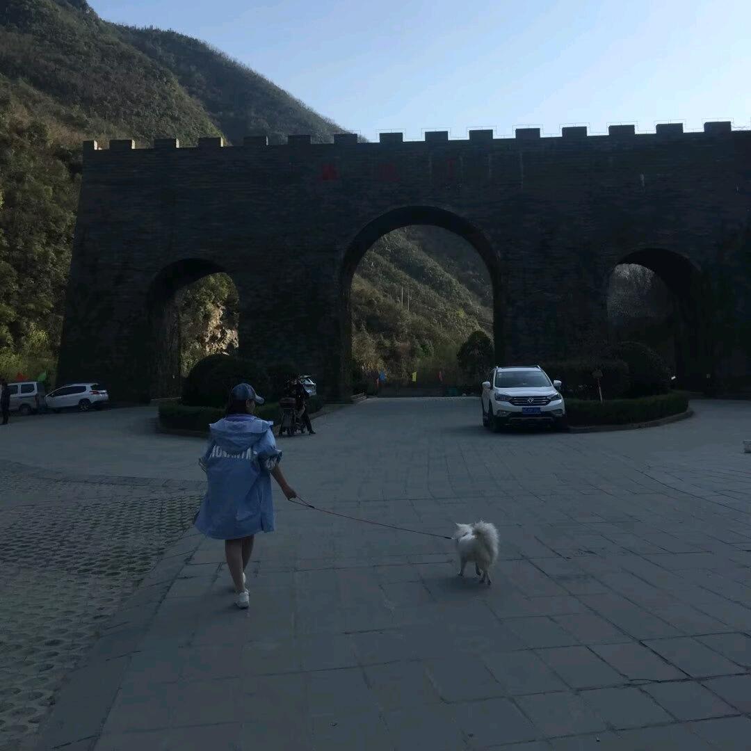 西木
