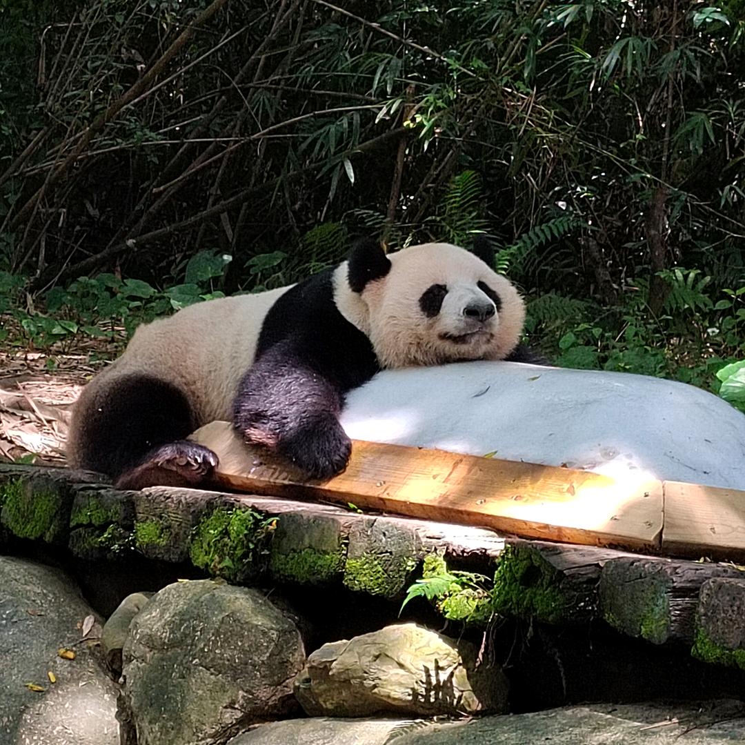 🌈🌈木 子