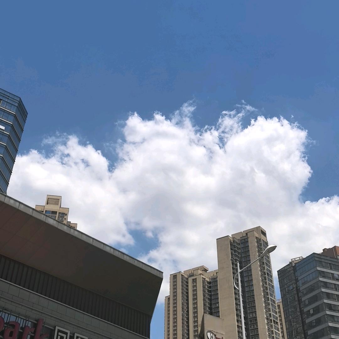 小胖皮